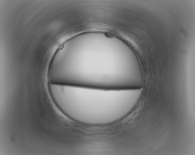 X0000115561471200911061137