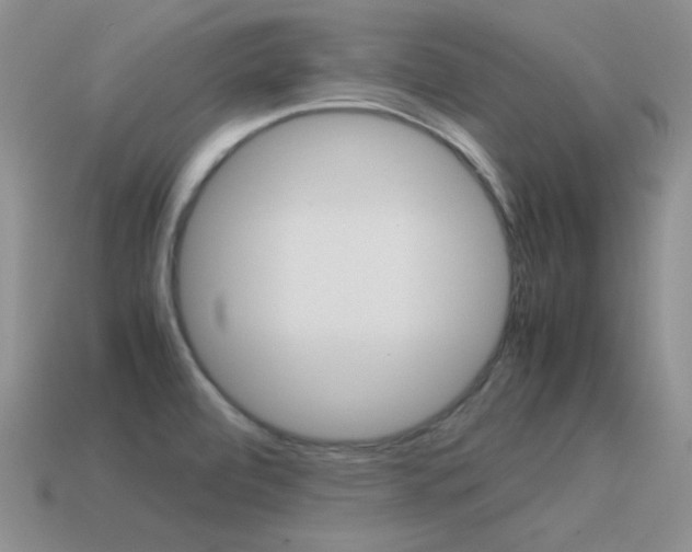 X0000115561472200911061137