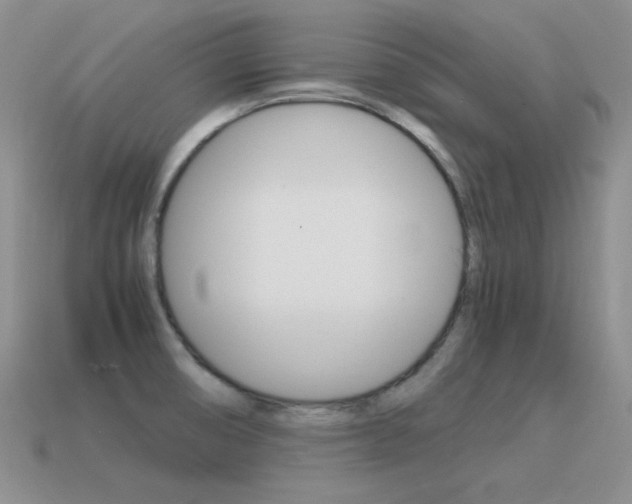 X0000115561474200911061137