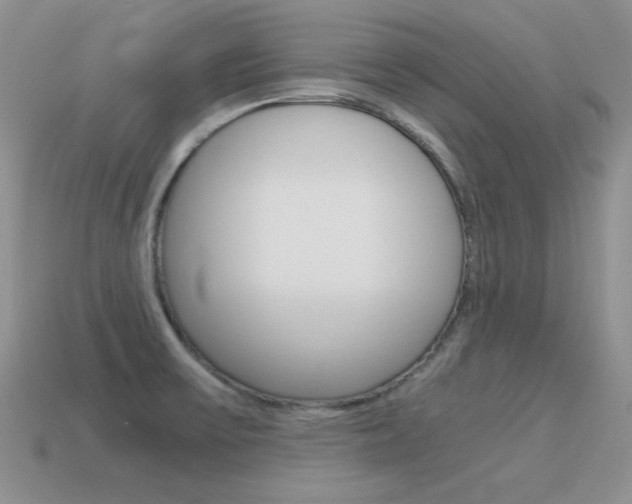 X0000115561475200911061137