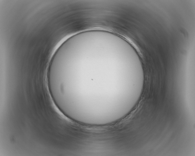 X0000115561476200911061137