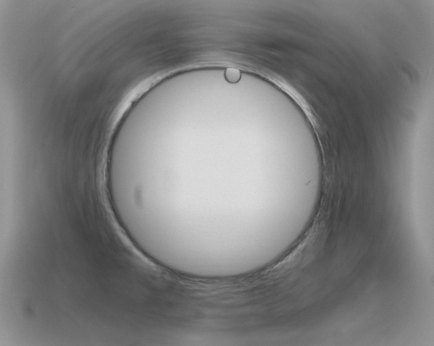 X0000115561477200911061137