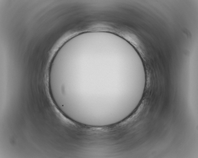 X0000115561478200911061137
