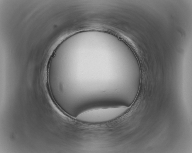 X0000115561479200911061137