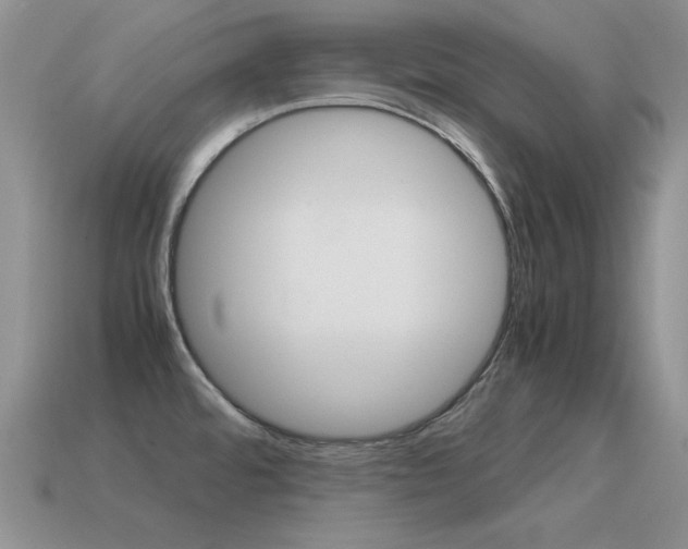 X0000115561480200911061137