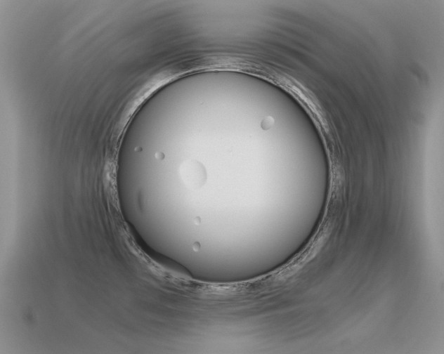 X0000115561481200911061137
