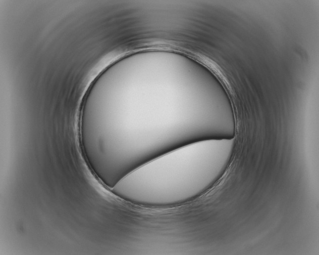 X0000115561482200911061137
