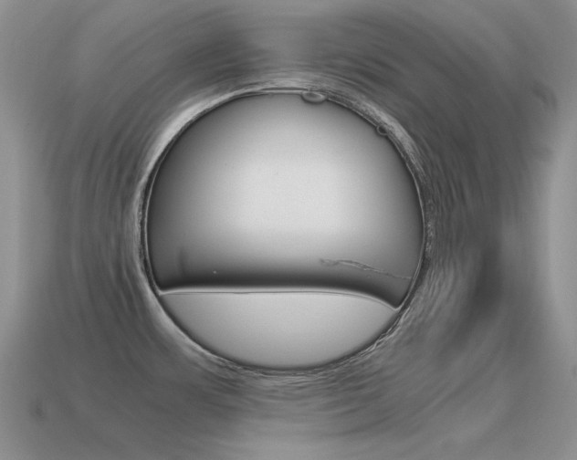 X0000115561483200911061137