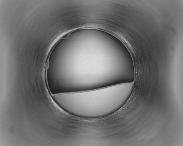 X0000115561484200911061137