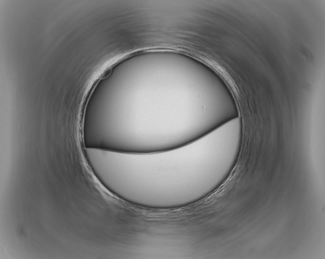 X0000115561485200911061137
