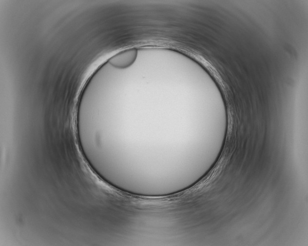 X0000115561486200911061137
