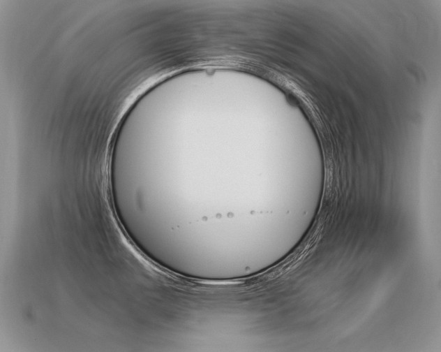X0000115561487200911061137