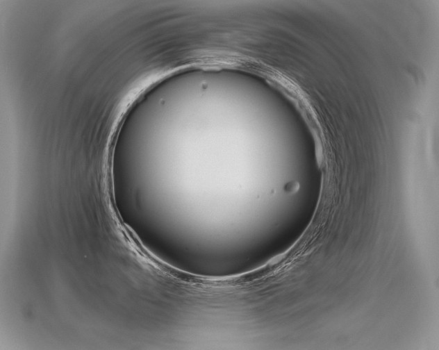 X0000115561488200911061137