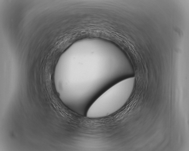 X0000115561489200911061136