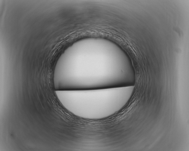 X0000115561490200911061136
