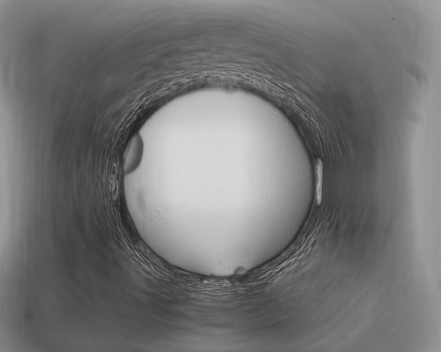 X0000115561491200911061136