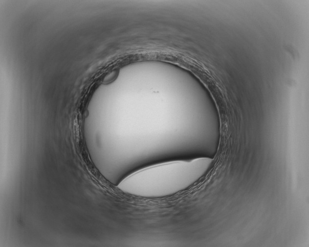 X0000115561493200911061136