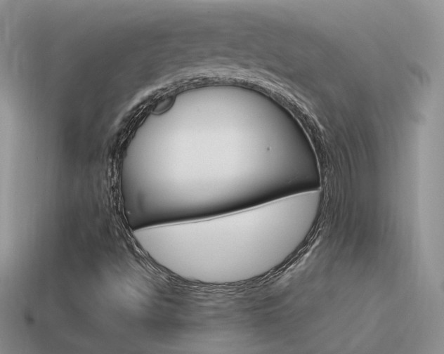 X0000115561494200911061137