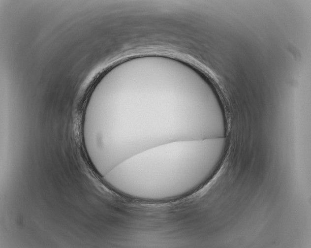 X0000115561498200911061137