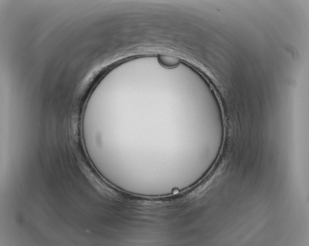 X0000115561499200911061137