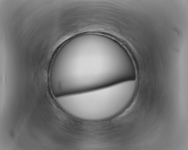 X0000115561505200911061137