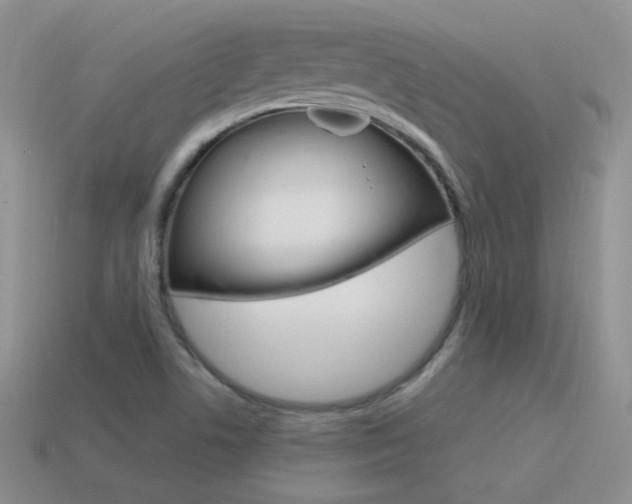 X0000115561506200911061137