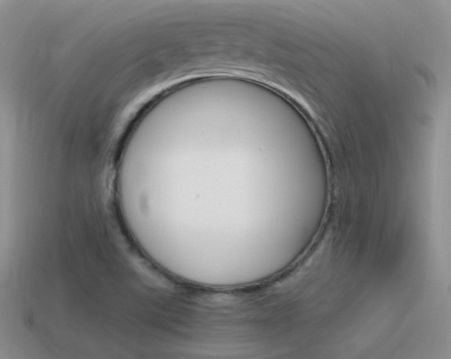 X0000115561507200911061137