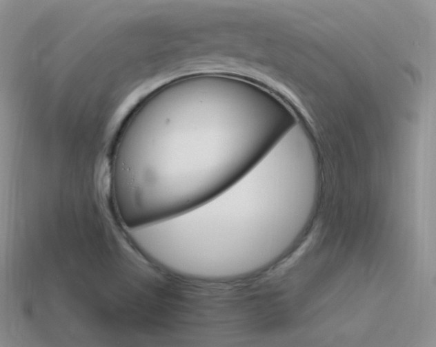 X0000115561509200911061137