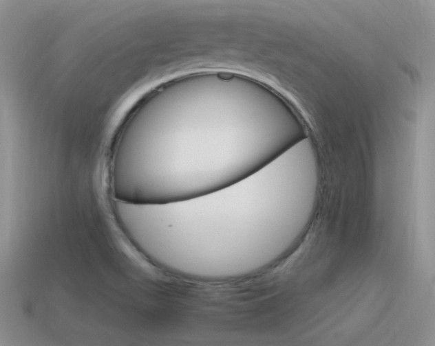 X0000115561511200911061137