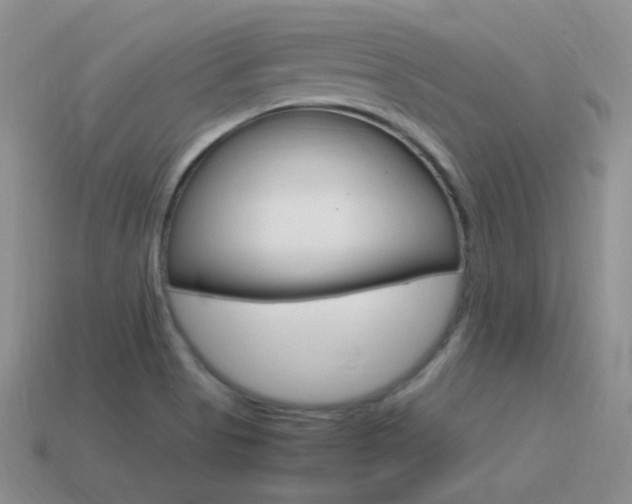 X0000115561513200911061137