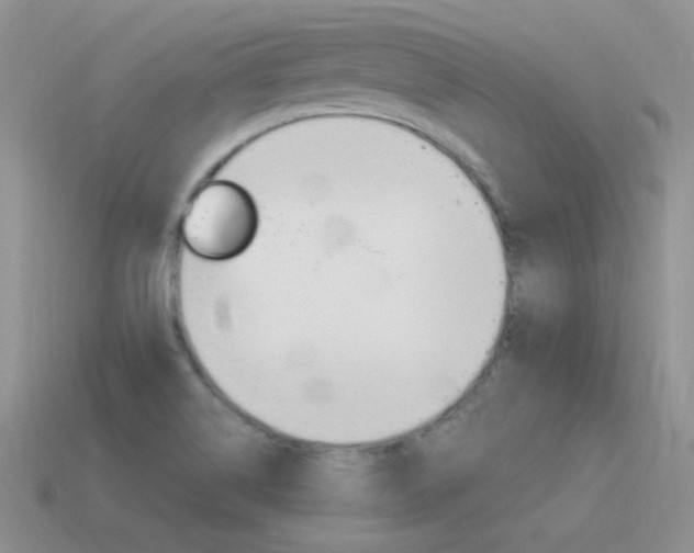 X0000115561514200911061137