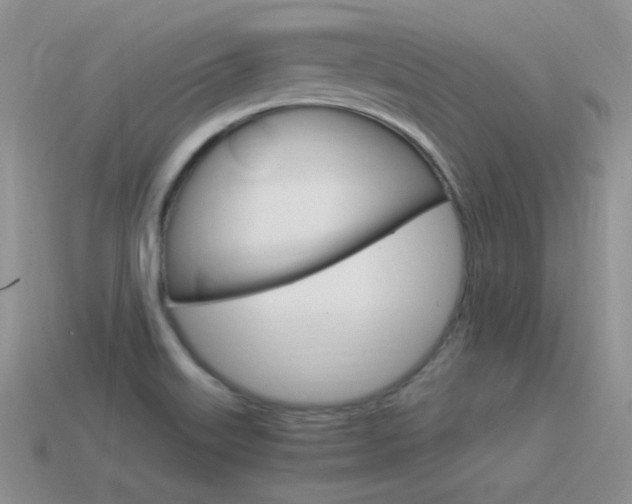 X0000115561515200911061137