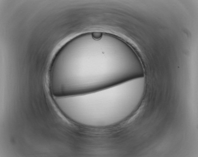 X0000115561517200911061137