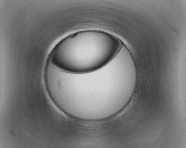 X0000115561518200911061137