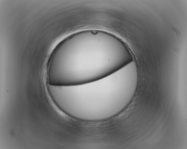 X0000115561519200911061137