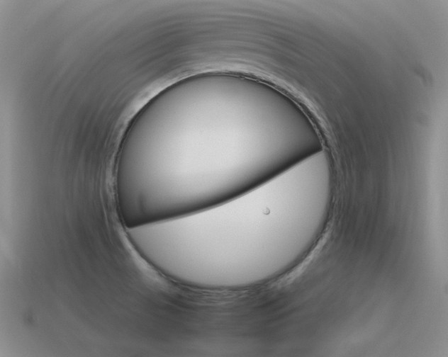 X0000115561521200911061137