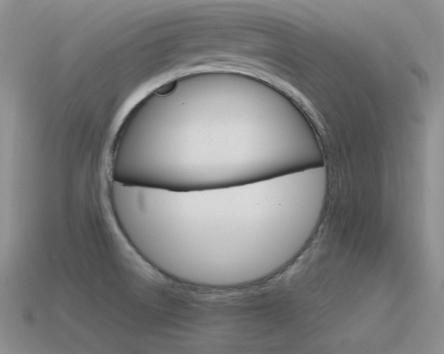 X0000115561522200911061137