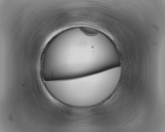 X0000115561523200911061137
