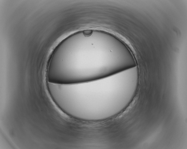 X0000115561525200911061137