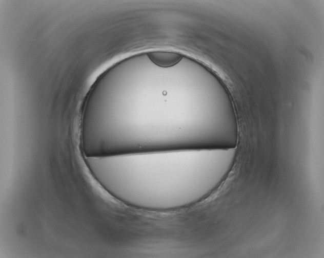 X0000115561526200911061137