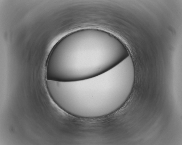 X0000115561527200911061137
