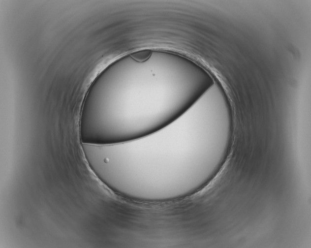 X0000115561529200911061137