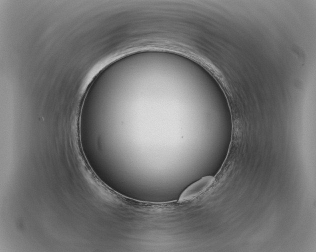 X0000115561530200911061137