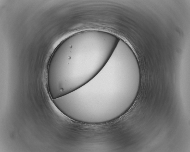 X0000115561531200911061137