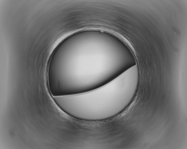 X0000115561533200911061137