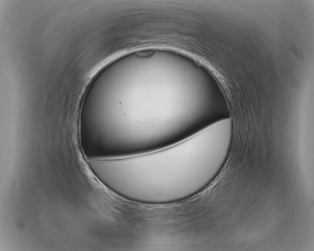 X0000115561534200911061137