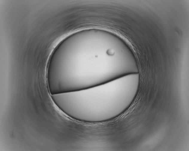 X0000115561535200911061137