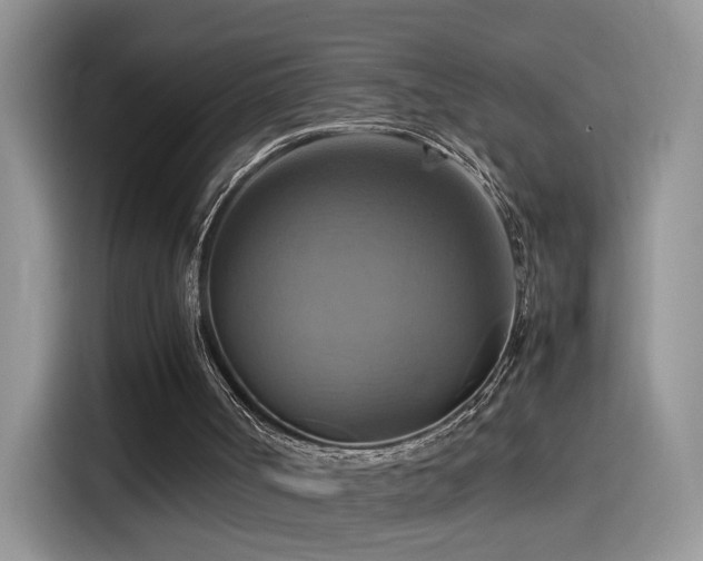 X0000115560002200911061603