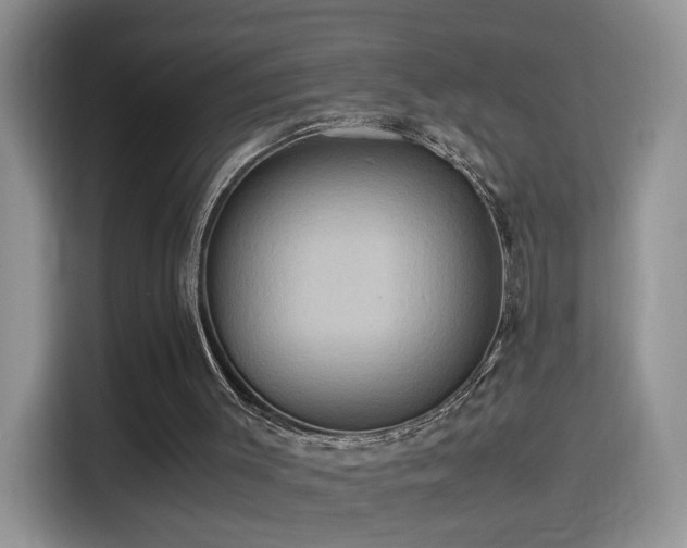 X0000115560003200911061603