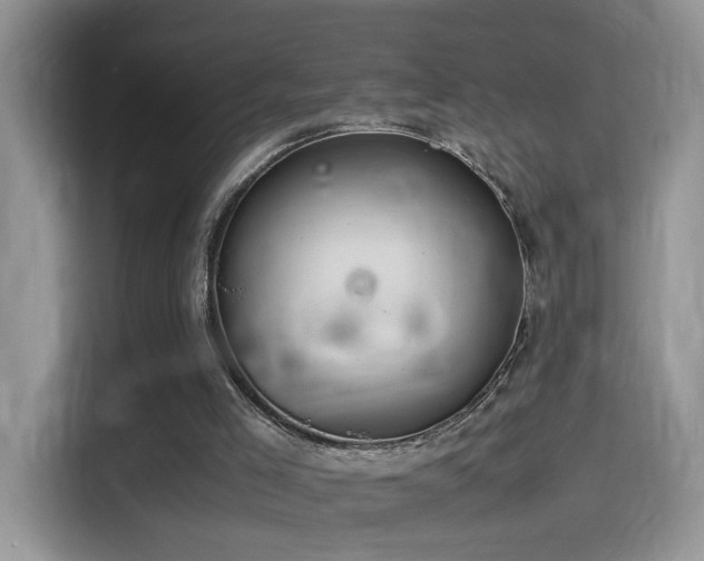 X0000115560005200911061603